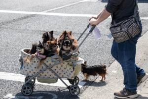 Nathalie VINCENT APONTE - NAVA 3.0